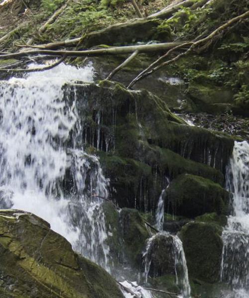 Krásny pohľad na mesto Wilkesboro