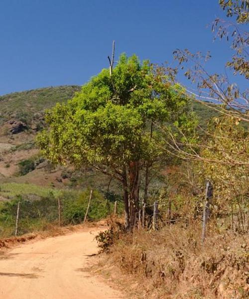 Uma bela vista de Ourinhos