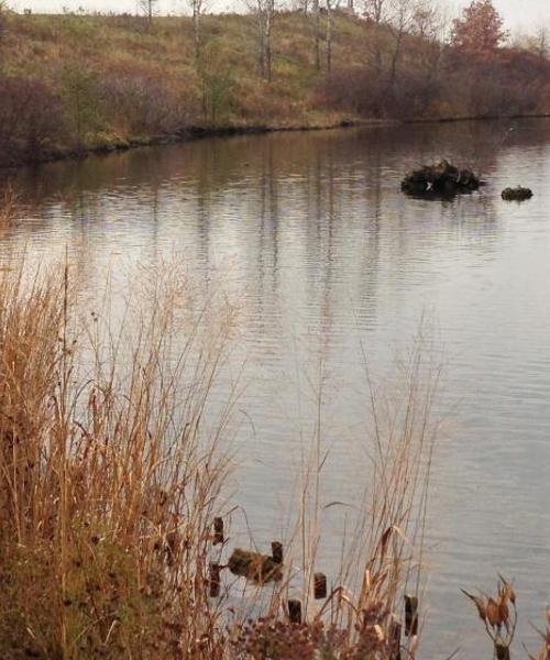 Una hermosa vista de Crystal Lake