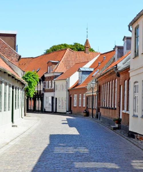 Krásný pohled na město Haderslev