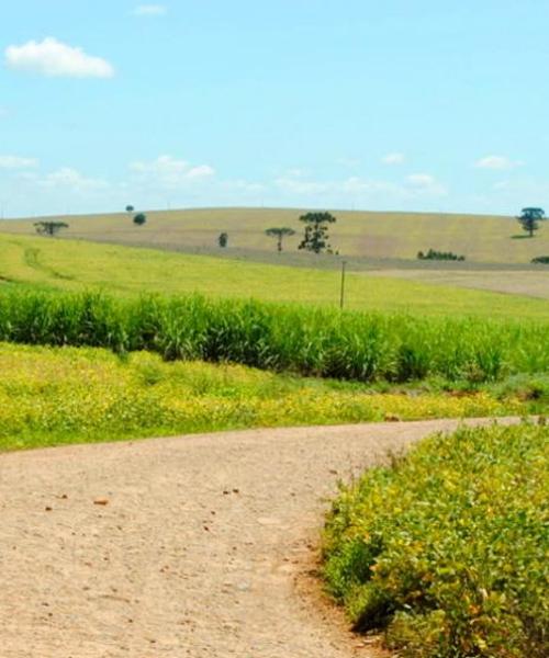 Gražus vietovės Limeira vaizdas