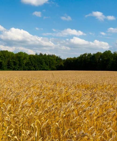 Čudovit pogled na mesto Wittlich