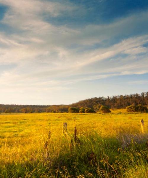 A beautiful view of Pirassununga.