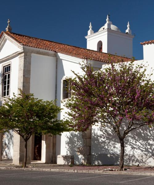 Una bonita panorámica de Santarém