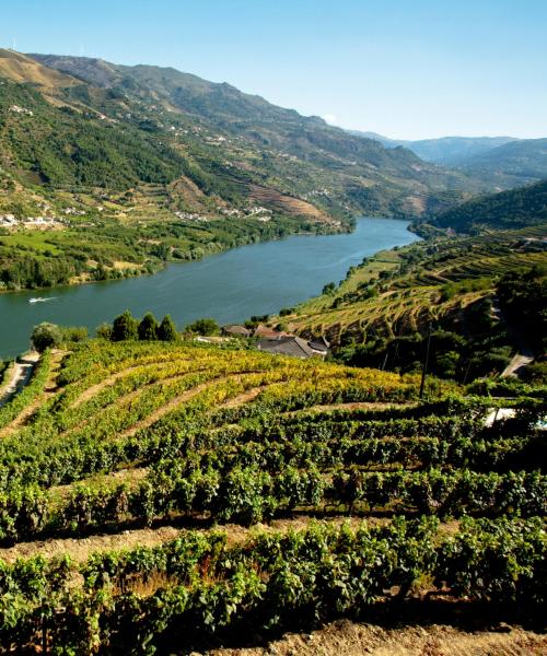 Uma bela vista de Peso da Régua