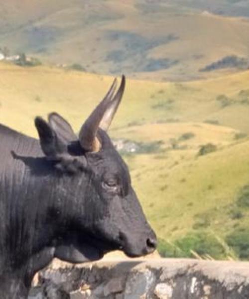 Ein schöner Blick auf Juazeiro do Norte