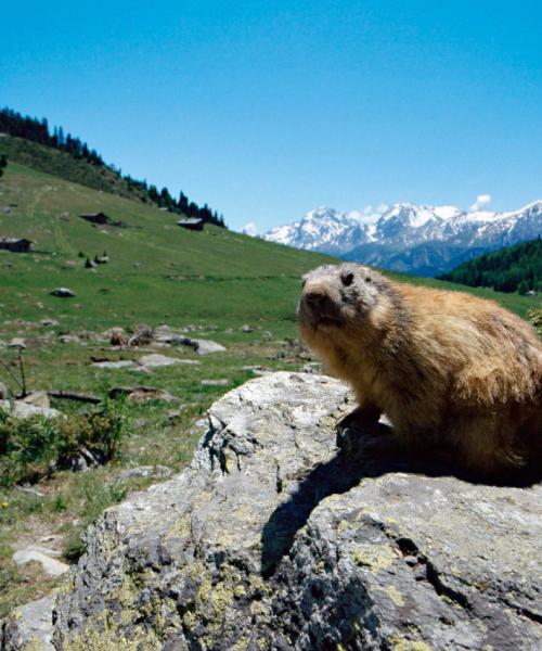 O imagine frumoasă din Modane