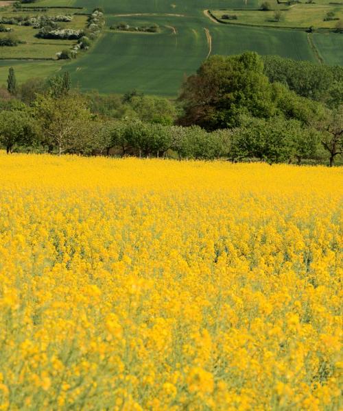 A beautiful view of Montceau-les-Mines