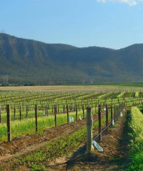 Una bonita panorámica de Cessnock