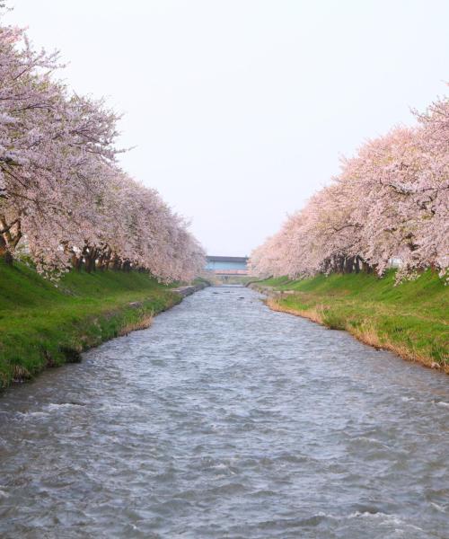 Una bellissima vista di Toyama