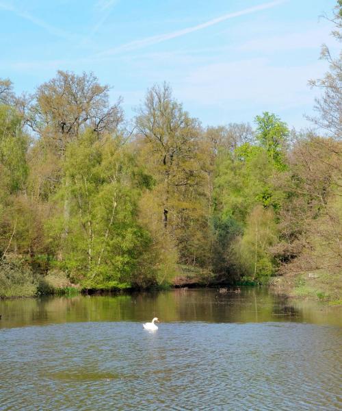 Una panoràmica bonica de Virginia Water