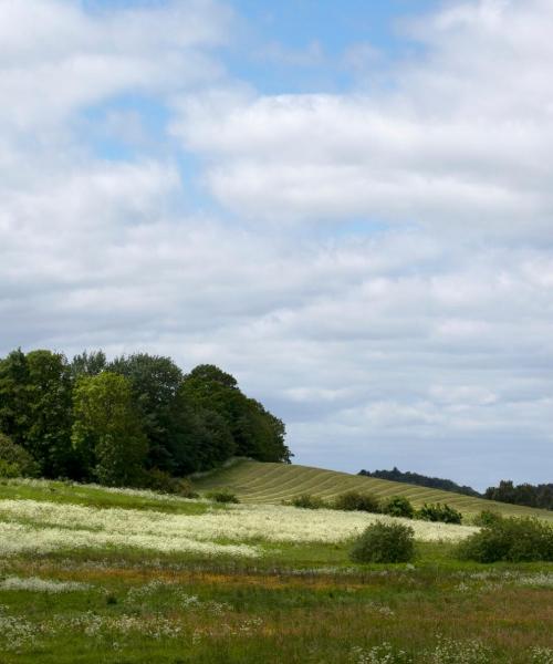 A beautiful view of Skive