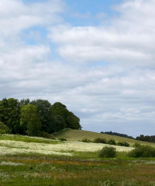 Una bonita panorámica de Skive