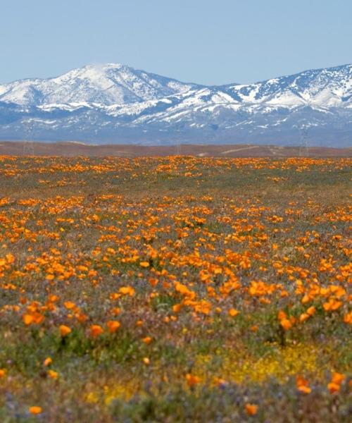 A beautiful view of Palmdale.