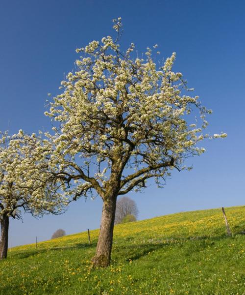 Prelep pogled na grad Gepingen