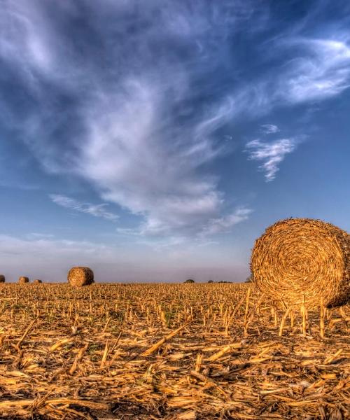 Una panoràmica bonica de Terrell