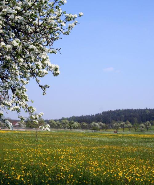 Krásný pohled na město Böblingen