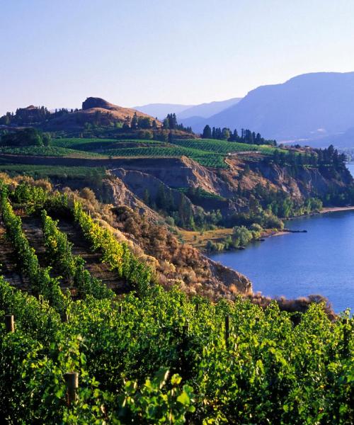 A beautiful view of Penticton – a popular city among our users
