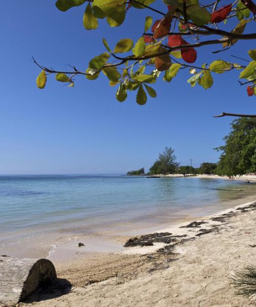 A beautiful view of Utila