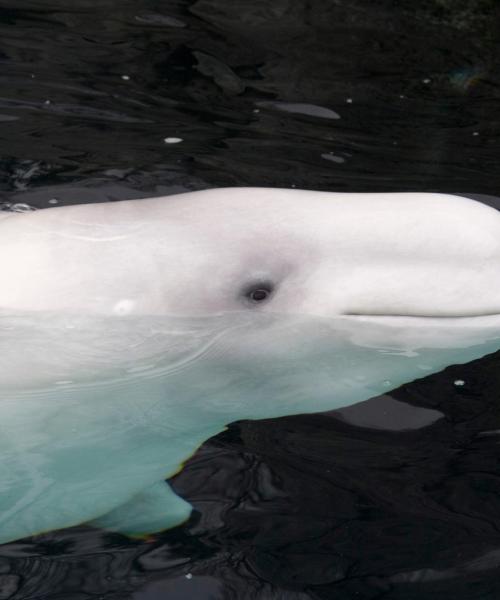 Una bonita panorámica de Saint-Pascal