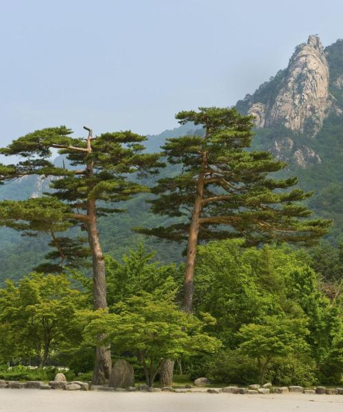 Pemandangan indah bagi Sokcho