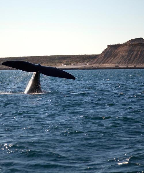 A beautiful view of Puerto Madryn.