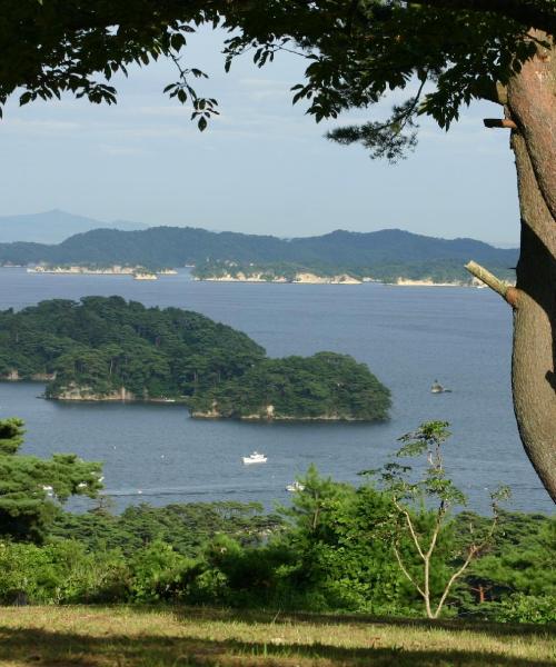 Una bonita panorámica de Sendai