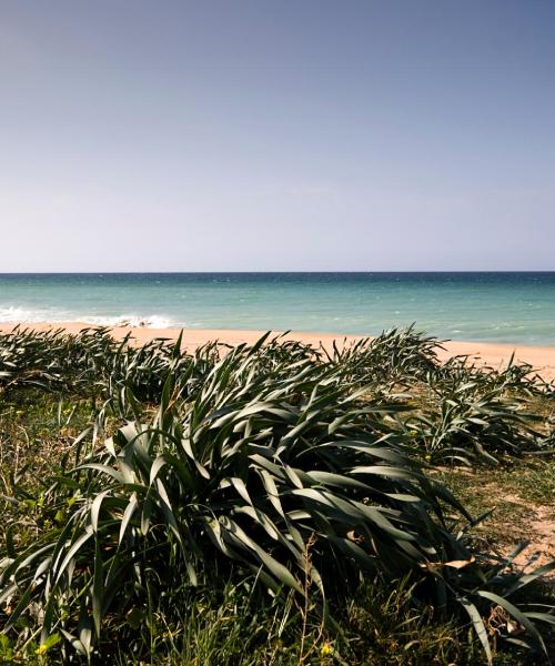 A beautiful view of Chiclana de la Frontera.