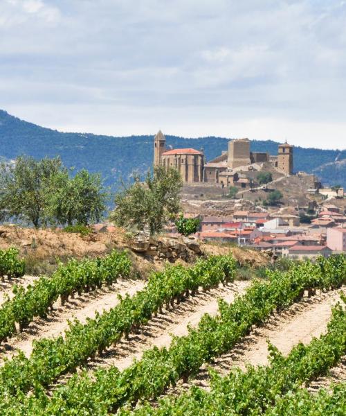 Una bonita panorámica de Logroño