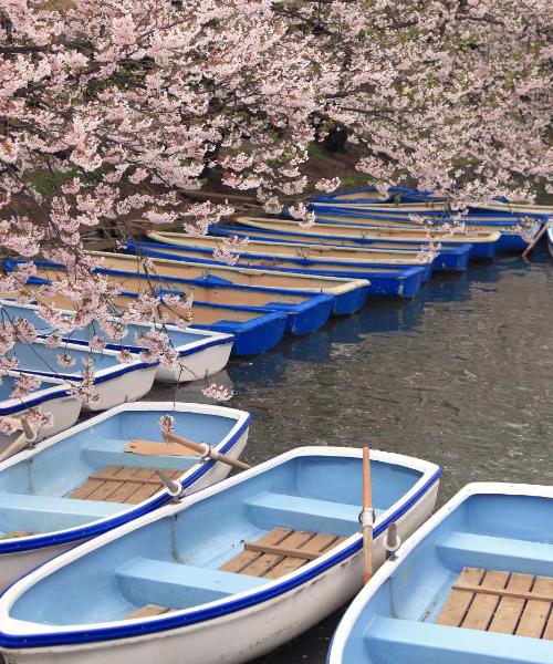 O imagine frumoasă din Kawagoe