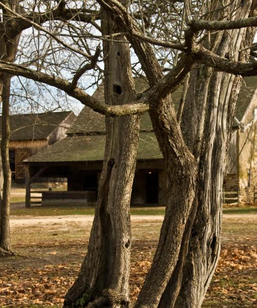 Piękny widok na miasto Hammonton