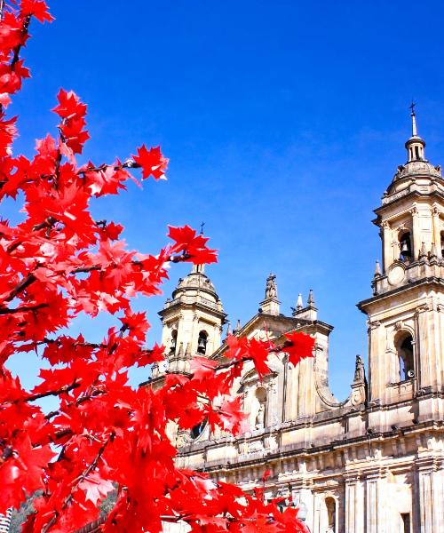 A beautiful view of Bogotá.