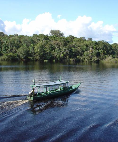 Una bonita panorámica de Manaus