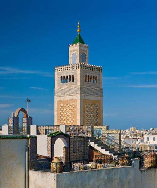 Krásný pohled na město Tunis