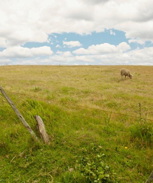 Ein schöner Blick auf Paysandú