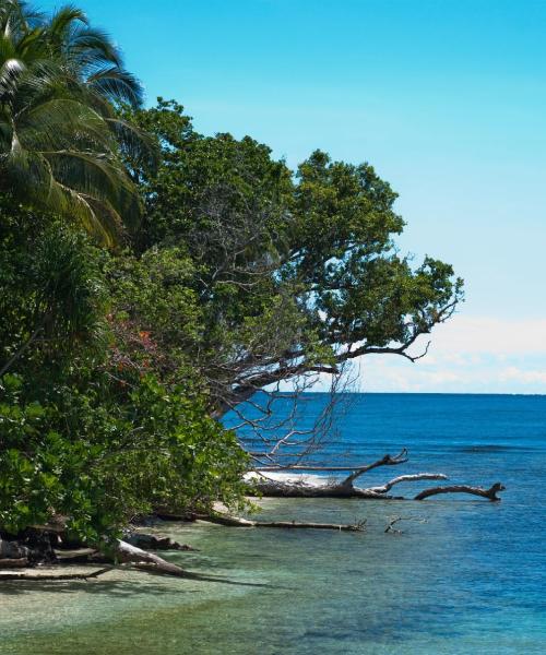 A beautiful view of Honiara