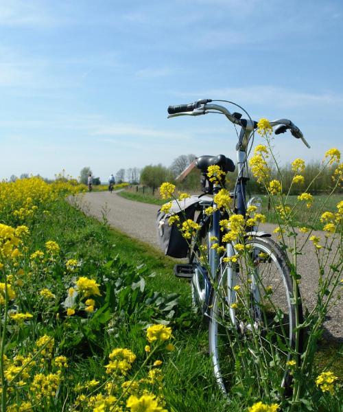 A beautiful view of Waalwijk