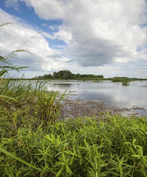 Una panoràmica bonica de Hardeeville