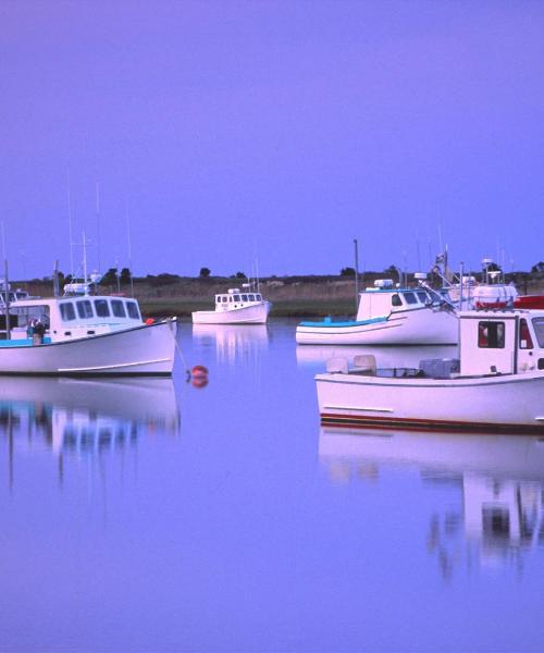 Una bellissima vista di Quincy