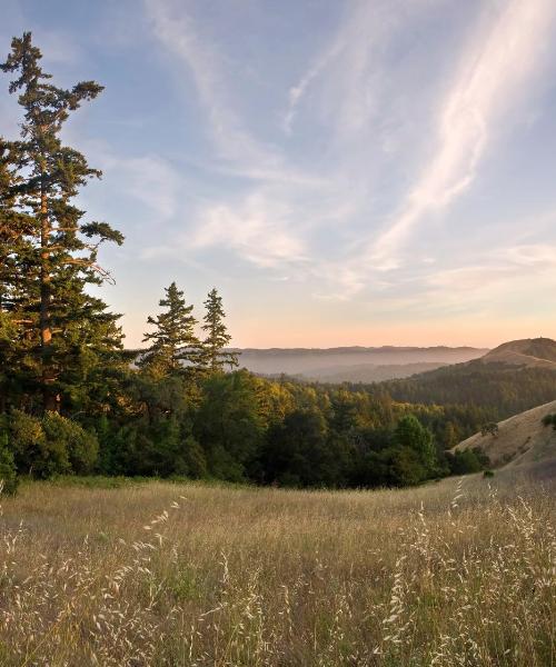 Una bonita panorámica de Martinez