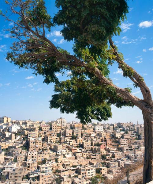 A beautiful view of Amman.