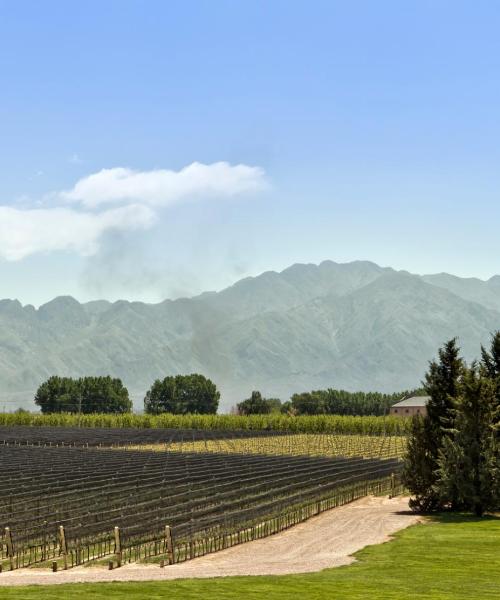 A beautiful view of San Rafael