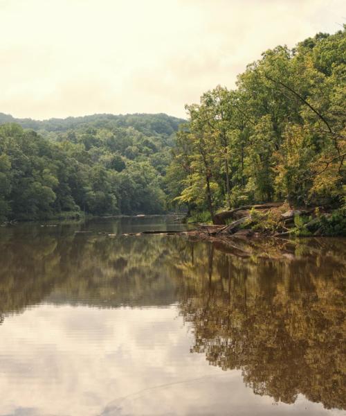 Krásný pohled na město Lithia Springs