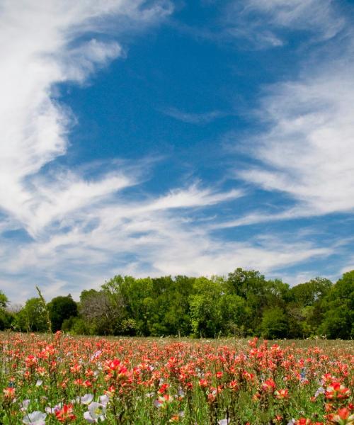 Una hermosa vista de Boerne