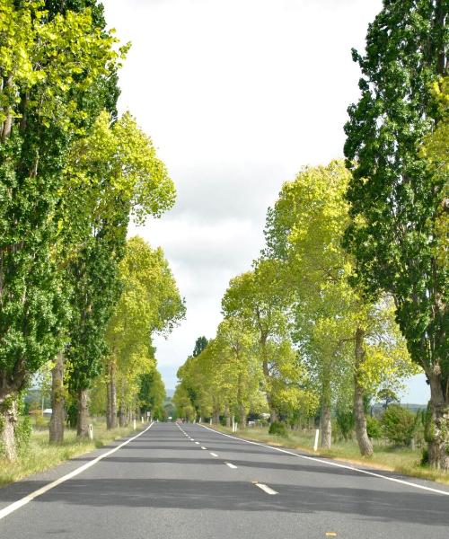 Una panoràmica bonica de Revesby