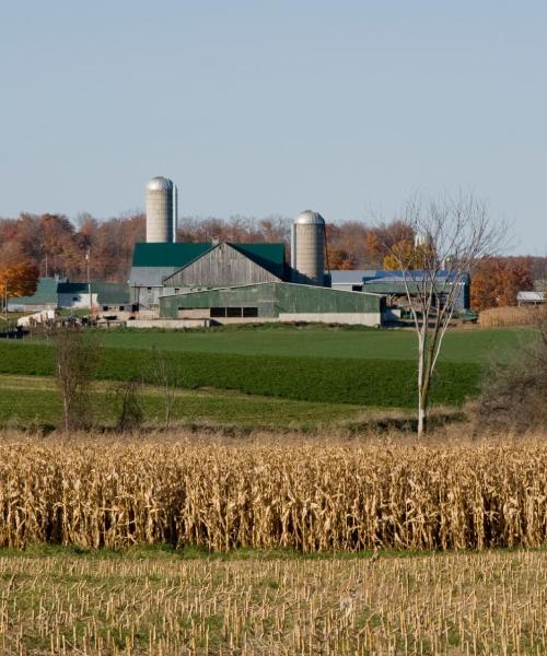 A beautiful view of Waterloo.