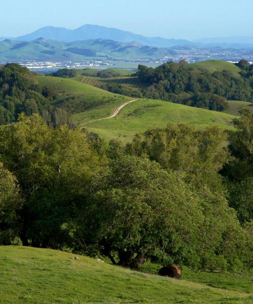 A beautiful view of Walnut Creek.