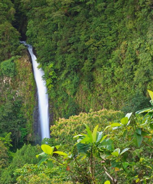 Uma linda vista de: La Fortuna