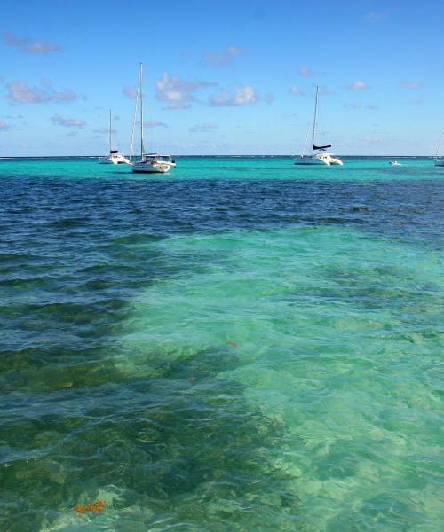 Una hermosa vista de San Pedro