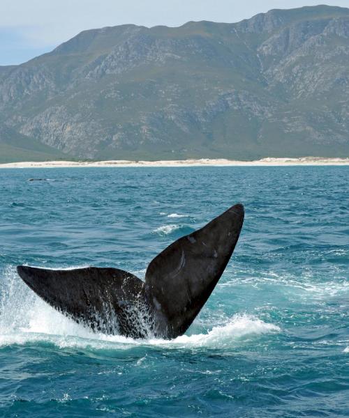 Una bonita panorámica de Hermanus